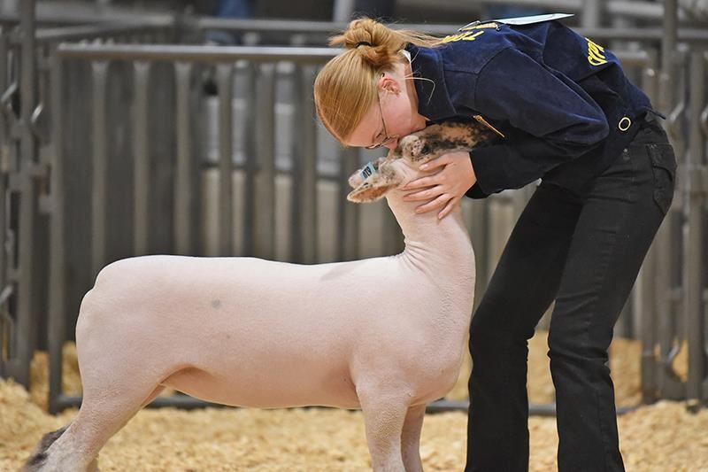 Cypress Woods High School junior Sarah Rampy kisses her lamb after winning her class on Feb. 4 .